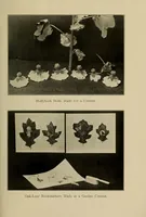 Picture 13 of 14 from The jolly book of funcraft (1918), leaf 321