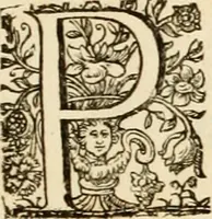 An illustration from Josephi felicissimi quondam, et gloriossisimi in Aegypto proregis polymita : variis liciorum coloribus distincta diversisque picturarum figuris illustrata : hoc est, virtutum regiarum in pluribus olim clarissimisque principibus laudatarum symmetria in unum, absolutumque ornatum animi coronis nati concinnata, et Josepho primo Leopoldi I. caesaris filio in Romanorum regem felicibus auspiciis nuper inaugurato : ab Archiducali, Caesareo, et Academico Societ. Jesu collegio Graecii in obsequiosae gratulationis argumentum demississimè oblata (1690)