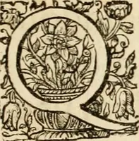Picture 2 of 22 from Josephi felicissimi quondam, et gloriossisimi in Aegypto proregis polymita : variis liciorum coloribus distincta diversisque picturarum figuris illustrata : hoc est, virtutum regiarum in pluribus olim clarissimisque principibus laudatarum symmetria in unum, absolutumque ornatum animi coronis nati concinnata, et Josepho primo Leopoldi I. caesaris filio in Romanorum regem felicibus auspiciis nuper inaugurato : ab Archiducali, Caesareo, et Academico Societ. Jesu collegio Graecii in obsequiosae gratulationis argumentum demississimè oblata (1690), leaf 8