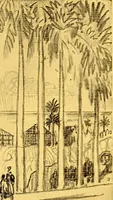 An illustration from Joseph Pennell's pictures of the Panama canal: reproductions of a series of lithographs made by him on the isthmus of Panama, January-March, 1912 (1912)