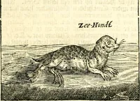 An illustration from Journael, of dagh-register, gehouden by de seven matroosen, in haer overwitneren op Spitsbergen in Maurits Bay : gelegen in Groenlandt, t' zedert het vertreck van de Visschery-Schepen der Geoctroyeerde Noordtsche Compagnie, in Nederlandt, zijnde den 30. Augusty, 1633 tot de wederkomst der vooriz. Schepen, den 27. May, anno 1634 (1663)