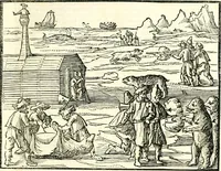 An illustration from Journael, of dagh-register, gehouden by de seven matroosen, in haer overwitneren op Spitsbergen in Maurits Bay : gelegen in Groenlandt, t' zedert het vertreck van de Visschery-Schepen der Geoctroyeerde Noordtsche Compagnie, in Nederlandt, zijnde den 30. Augusty, 1633 tot de wederkomst der vooriz. Schepen, den 27. May, anno 1634 (1663)