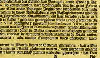 An illustration from Journael, ofte historiaelse beschrijvinge van Matheus vanden Broeck. : Van 't geen hy selfs ghesien ende waerachtigh gebeurtis, wegen 't begin ende revolte van de Portugese in Brasiel, als mede de conditie en het overgaen van de forten aldaer (1651)
