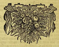 An illustration from Journael, ofte historiaelse beschrijvinge van Matheus vanden Broeck. : Van 't geen hy selfs ghesien ende waerachtigh gebeurtis, wegen 't begin ende revolte van de Portugese in Brasiel, als mede de conditie en het overgaen van de forten aldaer (1651)