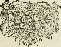 Picture 2 of 7 from Journael van de reysen ghedaen door den Ed. Heer en Ridder Sr. Thomas Roe, ambassadeur van sijn Conincklijcke Maejesteyt van Groot-Brittanje, afgevaerdicht naer Oostindien aen den Grooten Mogol, ende andere ghewesten in Indien .. (1656), leaf 6