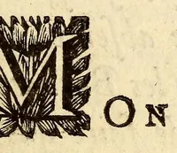 An illustration from Journal du voyage fait a la mer de Sud avec les flibustiers de l'Amerique, en 1684. & années suivantes. (1690)