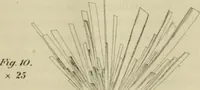 Picture 23 of 80 from Journal - Franklin Institute of the State of Pennsylvania (1826), leaf 180