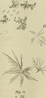 An illustration from Journal - Franklin Institute of the State of Pennsylvania (1826)