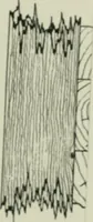 An illustration from Journal - Franklin Institute of the State of Pennsylvania (1826)