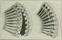 Picture 36 of 99 from Journal - Franklin Institute of the State of Pennsylvania (1826), leaf 174
