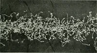 An illustration from Journal - Franklin Institute of the State of Pennsylvania (1826)
