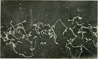 An illustration from Journal - Franklin Institute of the State of Pennsylvania (1826)