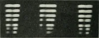 An illustration from Journal - Franklin Institute of the State of Pennsylvania (1826)