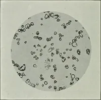 An illustration from Journal - Franklin Institute of the State of Pennsylvania (1826)