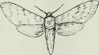 An illustration from Journal - Franklin Institute of the State of Pennsylvania (1826)