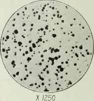 Picture 112 of 160 from Journal - Franklin Institute of the State of Pennsylvania (1826), leaf 525