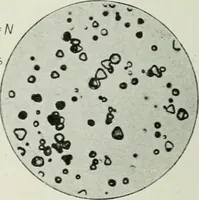 An illustration from Journal - Franklin Institute of the State of Pennsylvania (1826)