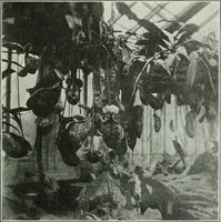 An illustration from Journal - Franklin Institute of the State of Pennsylvania (1826)