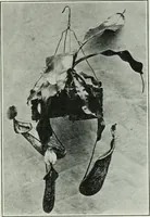 Picture 157 of 160 from Journal - Franklin Institute of the State of Pennsylvania (1826), leaf 794
