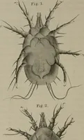 An illustration from Journal - Franklin Institute of the State of Pennsylvania (1826)