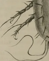 An illustration from Journal - Franklin Institute of the State of Pennsylvania (1826)