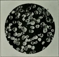 Picture 12 of 181 from Journal (1917), leaf 149