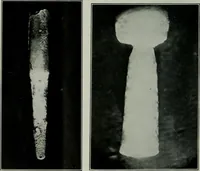 Picture 22 of 181 from Journal (1917), leaf 177