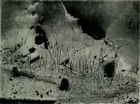 An illustration from Journal (1917)