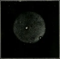 Picture 35 of 181 from Journal (1917), leaf 197