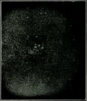 Picture 36 of 181 from Journal (1917), leaf 197