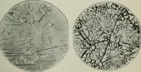 Picture 54 of 181 from Journal (1917), leaf 324