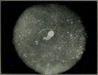 An illustration from Journal (1917)