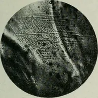 An illustration from Journal (1917)
