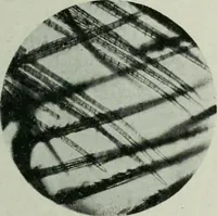An illustration from Journal (1917)