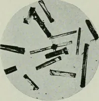 An illustration from Journal (1917)