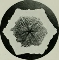 An illustration from Journal (1917)