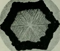 An illustration from Journal (1917)