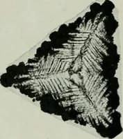 An illustration from Journal (1917)