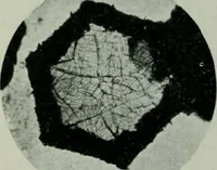 An illustration from Journal (1917)