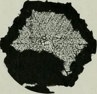 An illustration from Journal (1917)