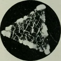 An illustration from Journal (1917)