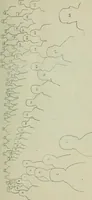 An illustration from Journal (1917)