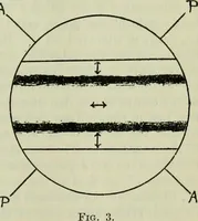 An illustration from Journal (1917)