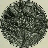 An illustration from Journal (1917)