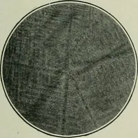 An illustration from Journal (1917)