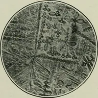An illustration from Journal (1917)