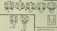 Picture 37 of 235 from Journal (1917), leaf 211