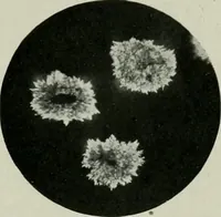 An illustration from Journal (1917)