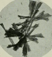 An illustration from Journal (1917)