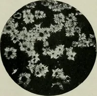 An illustration from Journal (1917)